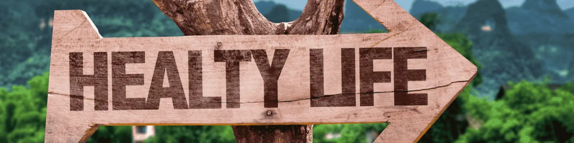 Find AA meetings San Diego for a Healthier, Sober Life A sign leading to a healthy life