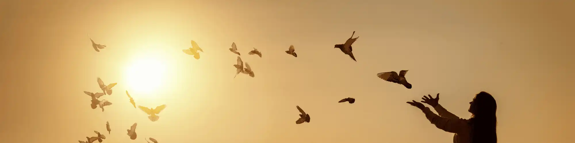 Finding Hope and Strength at Local AA Meetings Charlotte Find hope and strength in recovery with local AA meetings Charlotte