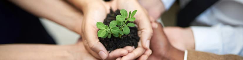 Explore How Just for Today AA 17/12/25 Can Guide Your Growth