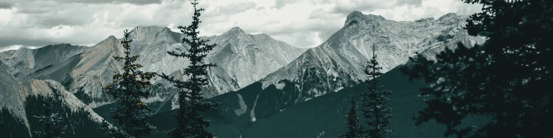 Life After Addiction With Narcotics Anonymous RI A personal recovery story of finding hope and healing through Narcotics Anonymous RI