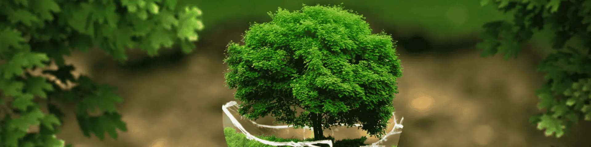 Step into Sobriety: Join Nearby AA Meetings Houston Discover how nearby AA meetings Houston can support your recovery journey