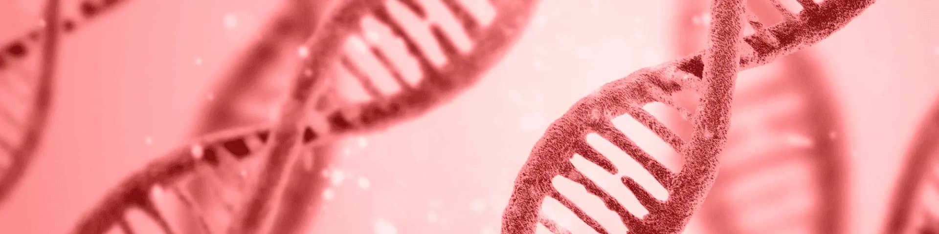 The Biology of Alcohol Cravings: Open AA Meetings San Jose Picture of DNA, representing biology