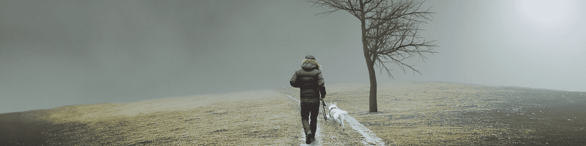 top AA meetings Los Angeles top AA meetings Los Angeles